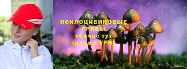 MDMA Новодвинск