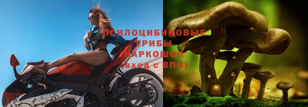 MDMA Новодвинск
