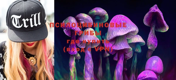 MDMA Premium VHQ Новозыбков