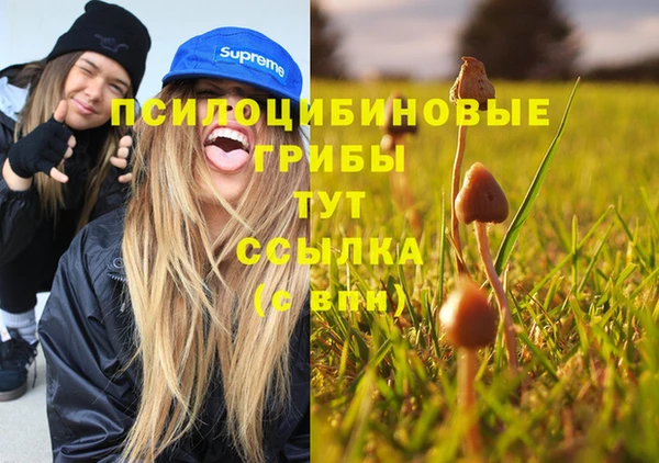 мяу мяу мука Нефтегорск