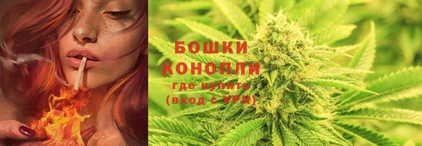 MDMA Новодвинск