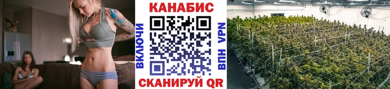 Бошки Шишки конопля  магазин продажи наркотиков  Ряжск 